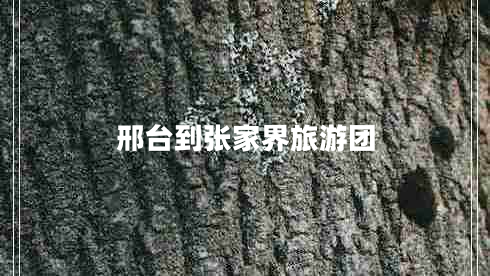 邢臺(tái)到張家界旅游團(tuán)
