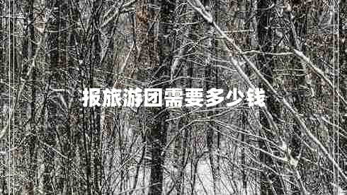 報旅游團需要多少錢