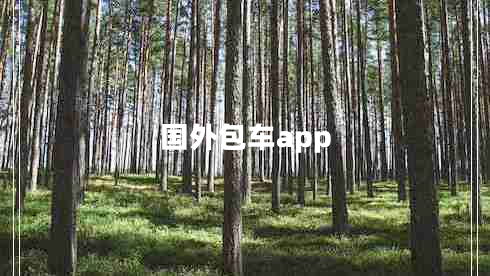 國(guó)外包車app