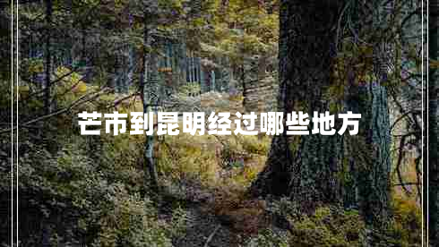 芒市到昆明經(jīng)過哪些地方