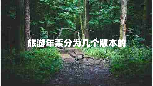 旅游年票分為幾個版本的