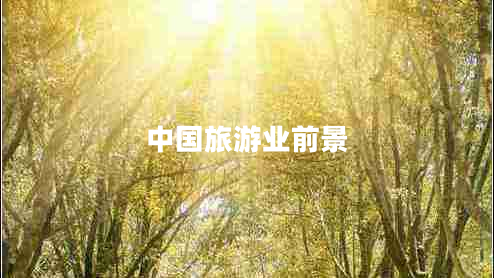 中國(guó)旅游業(yè)前景