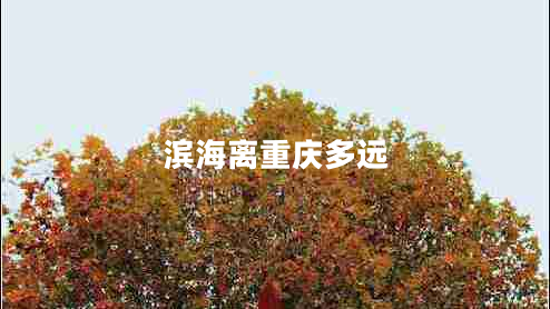 濱海離重慶多遠(yuǎn)