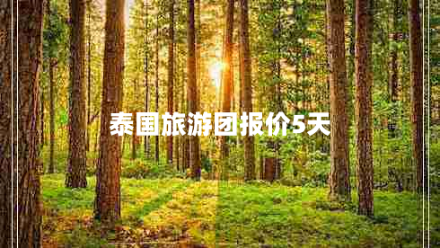 泰國旅游團(tuán)報(bào)價(jià)5天