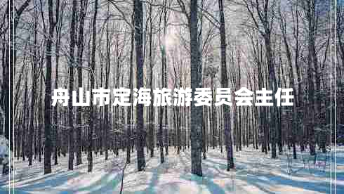 舟山市定海旅游委員會主任
