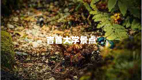 吉首大學(xué)景點