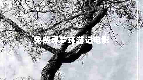 免費(fèi)尋夢環(huán)游記電影
