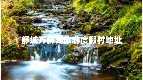 舒城萬(wàn)佛湖旅游度假村地址