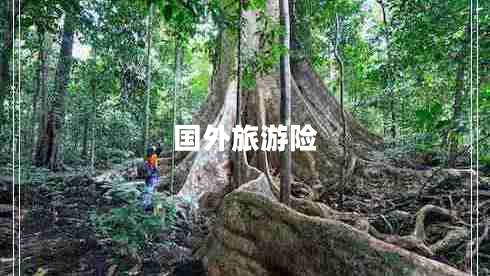 國外旅游險(xiǎn)