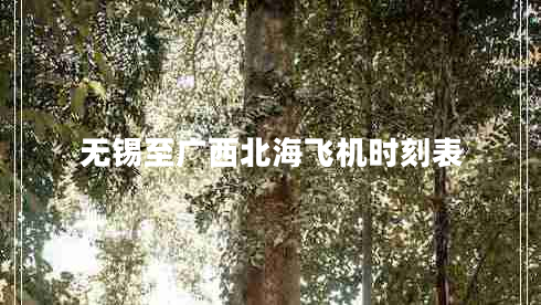 無(wú)錫至廣西北海飛機(jī)時(shí)刻表