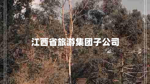 江西省旅游集團(tuán)子公司