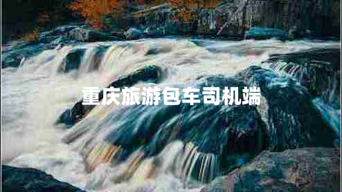 重慶旅游包車司機端