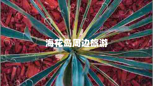 ?；◢u周邊旅游