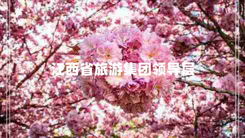 江西省旅游集團領導層