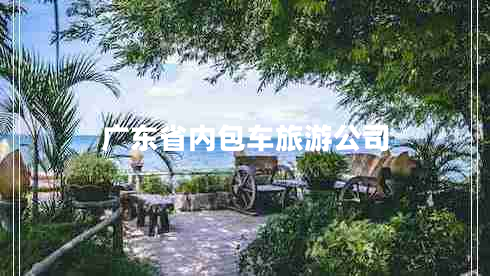 廣東省內(nèi)包車(chē)旅游公司
