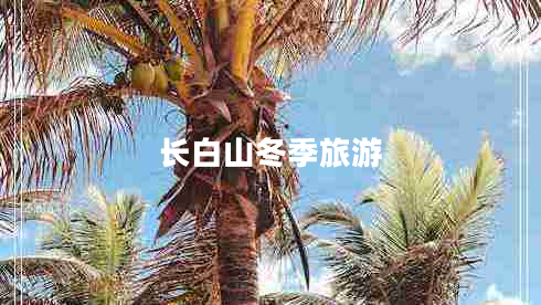 長(zhǎng)白山冬季旅游