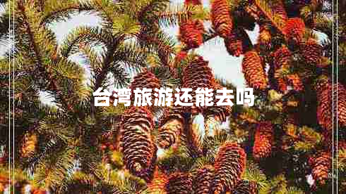 臺(tái)灣旅游還能去嗎