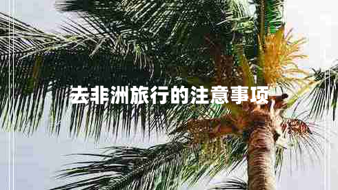 去非洲旅行的注意事項(xiàng)