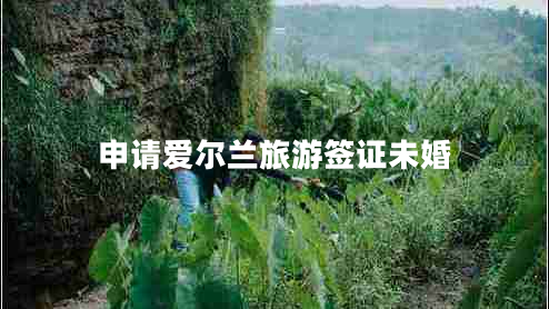 申請(qǐng)愛(ài)爾蘭旅游簽證未婚