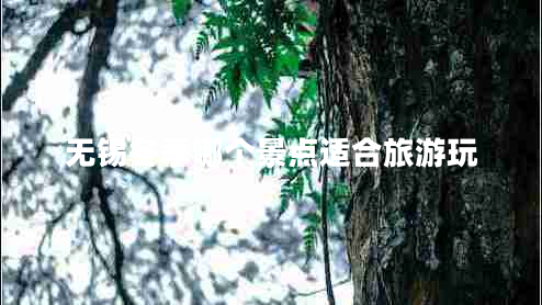無錫冬季哪個景點適合旅游玩
