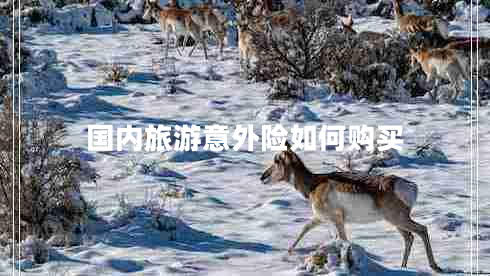 國內(nèi)旅游意外險(xiǎn)如何購買