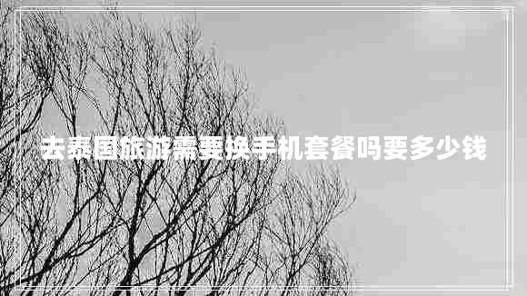 去泰國旅游需要換手機(jī)套餐嗎要多少錢
