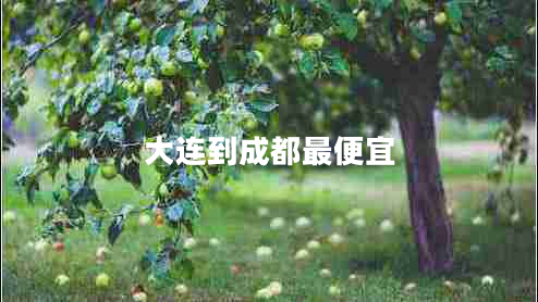 大連到成都最便宜