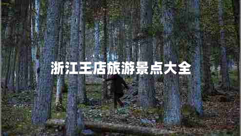 浙江王店旅游景點(diǎn)大全