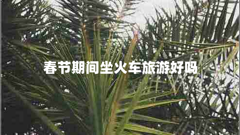 春節(jié)期間坐火車旅游好嗎