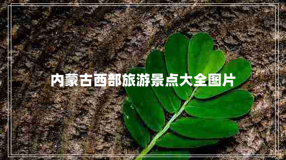 內(nèi)蒙古西部旅游景點大全圖片