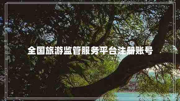 全國旅游監(jiān)管服務(wù)平臺注冊賬號