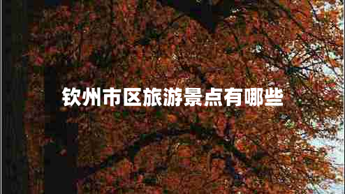 欽州市區(qū)旅游景點有哪些