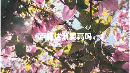 盧旺達(dá)消費高嗎