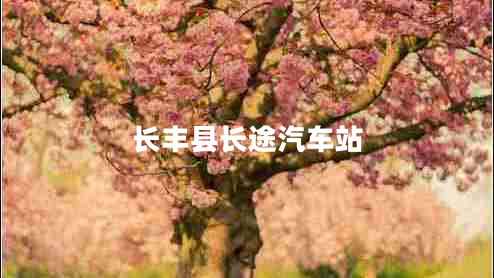 長(zhǎng)豐縣長(zhǎng)途汽車站