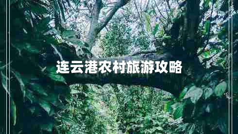 連云港農(nóng)村旅游攻略