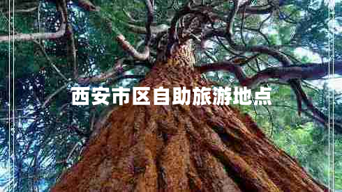 西安市區(qū)自助旅游地點