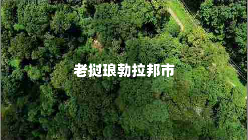 老撾瑯勃拉邦市 老撾瑯勃拉邦市