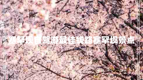 塞罕壩自駕游最佳線路塞罕壩景點
