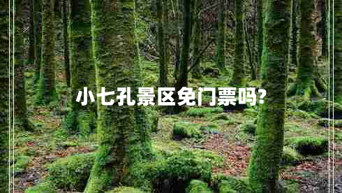 小七孔景區(qū)免門(mén)票嗎?