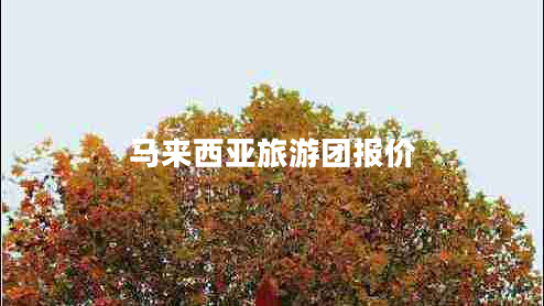 馬來西亞旅游團(tuán)報(bào)價(jià)