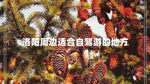 洛陽周邊適合自駕游的地方