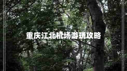 重慶江北機場游玩攻略