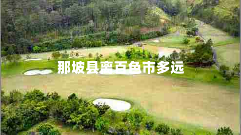 那坡縣離百色市多遠(yuǎn)