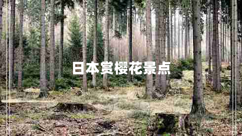 日本賞櫻花景點