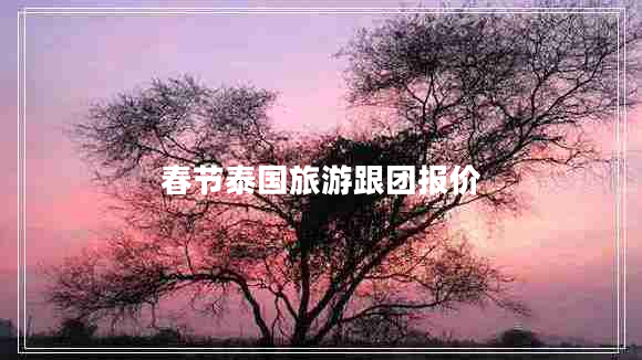 春節(jié)泰國(guó)旅游跟團(tuán)報(bào)價(jià)