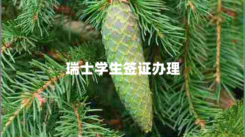 瑞士學生簽證辦理