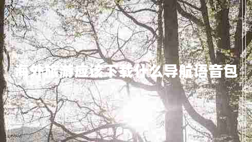 海外旅游應(yīng)該下載什么導航語音包