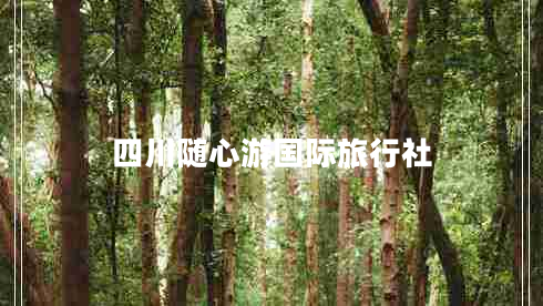 四川隨心游國(guó)際旅行社