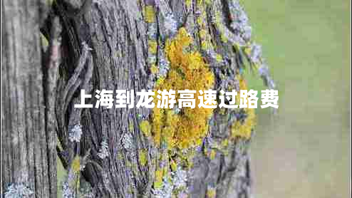 上海到龍游高速過(guò)路費(fèi)