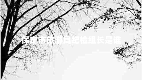 保定市旅游局紀(jì)檢組長(zhǎng)是誰(shuí)